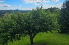 Relax House Lara in Krapinske Toplice - Foto 39
