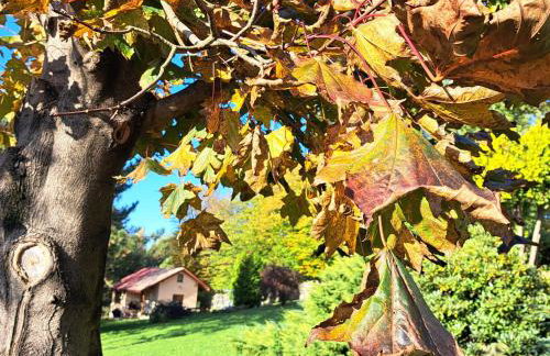 Brzozowy Zakątek - Foto 23