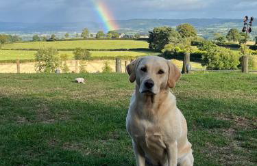 Hay View Lodges - Barn End - Foto 13