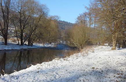 Ferienwohnung Blum - Foto 37