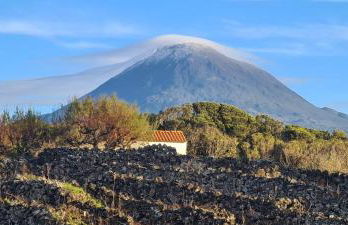 Azores Blue Bay - Photo 22