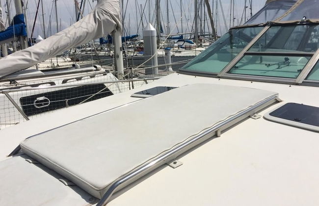 Boat Vedette Arlequin - Foto 29