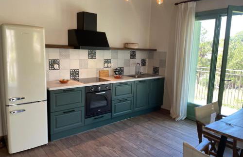 Asos Beachfront Apartment, Center village, 20m Beach - near Myrtos - Fiskardo - Foto 17