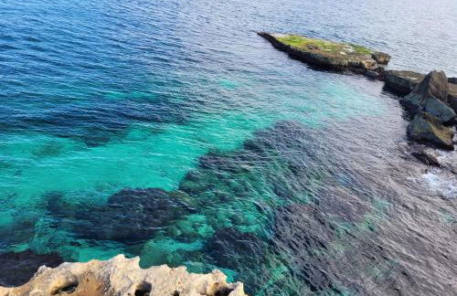 Cala Paradiso - Foto 73