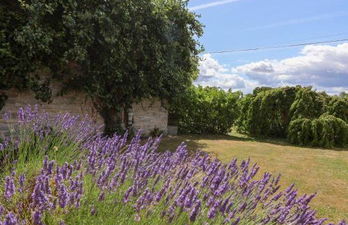 Pear Tree Cottage - Foto 24