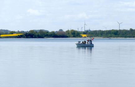 WackerMagic - Foto 21