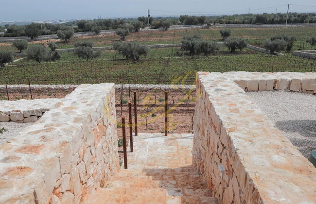 TD Tenuta Donna Madia Sea View Pool Over Vineyard - Foto 28