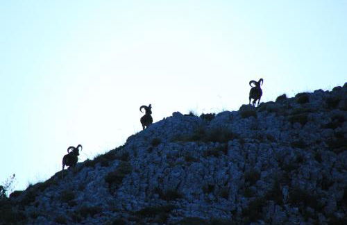 Alojamiento aguasblanquillas - Foto 33