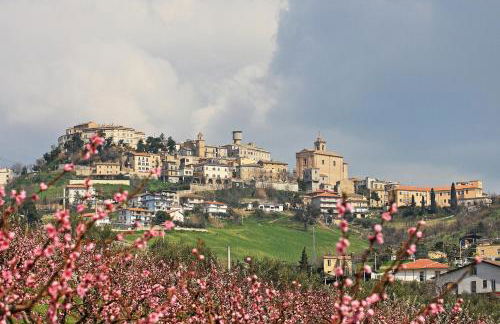 Mare Adriatico-Il Passetto - Foto 30