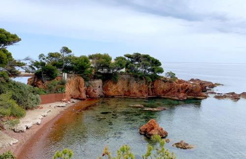 Appartement vue mer domaine arboré - Foto 3