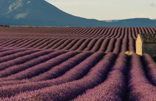 La Maison d’Helene & Antoine à Bonnieux XII siècle - Foto 26