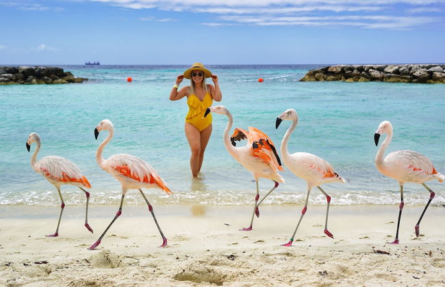 Mexican Style Villa With Private Pool, Free Utilities - Foto 63