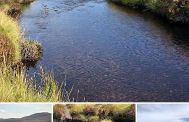 Drumguish Cottage - Foto 53