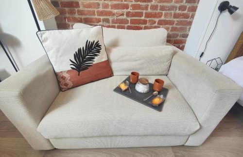 Les Briques Rouges, Appartement Béthune - Foto 9