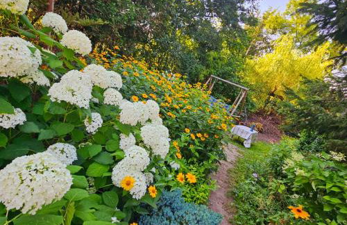 Warmiński dom nad jeziorem - Foto 9