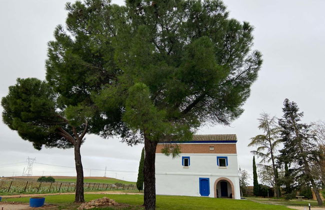Visite du domaine viticole Rodríguez y Sanzo à Rueda - Photo 1