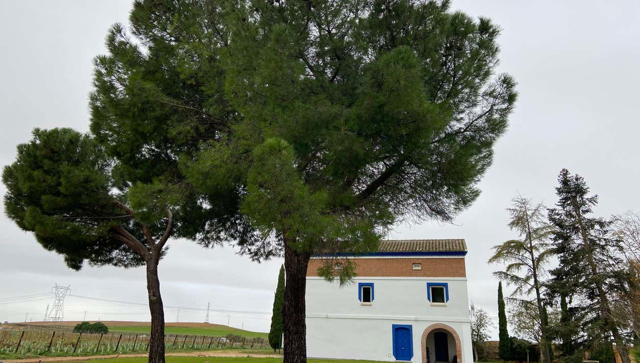 Entrada das vinícolas Rodríguez y Sanzo