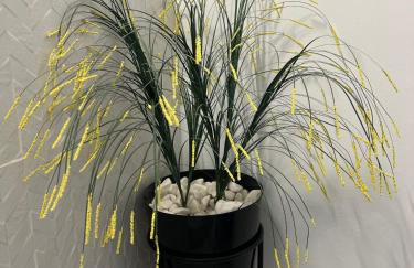 Casa Rural las Rosas de Benaojan - Photo 34