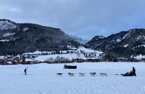 La Joly - ChaletYap - Photo 23