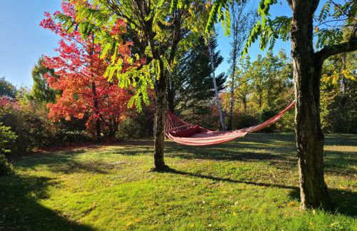 - - - - -Les Colombages - - - - Chambre d'hôtes-Gîte- Classement Gîte 3 étoiles - Foto 44