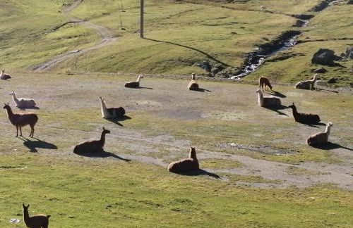 Coquet et accueillant Studio montagne la Mongie - Foto 29