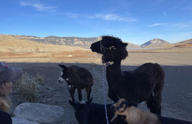 Eycat Lodging Company - Foto 49