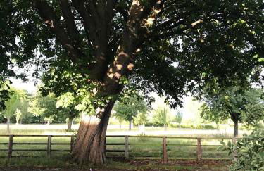 Cotswolds Retreat - Foto 28