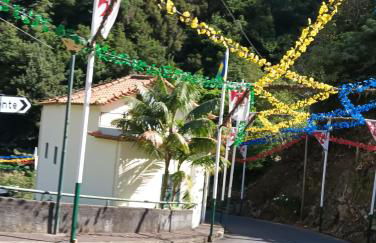 Palm Comfort - Foto 19