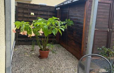 Homestay - Ferienwohnung Apfelgarten - Foto 22