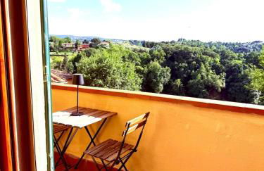 Ciliegia di Lari - Belvedere - Foto 1