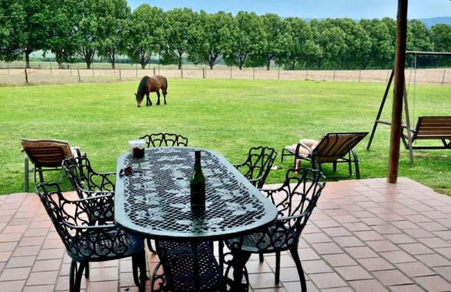 Ardmore Guest Farm - Photo 22