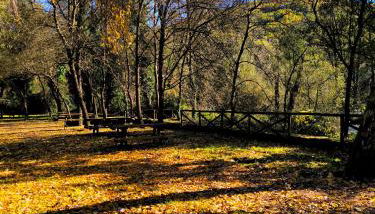 Los Naranjos de Jerte - Foto 3