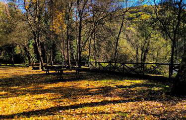 Los Naranjos de Jerte - Foto 3
