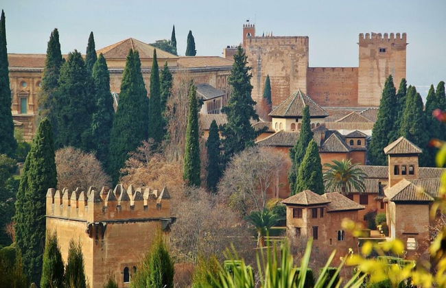 Atico Oasis Centro - Foto 26