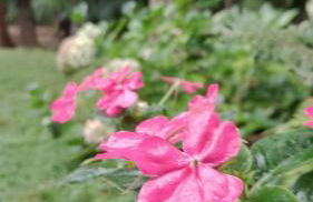 Casa Gramado Família - Foto 13