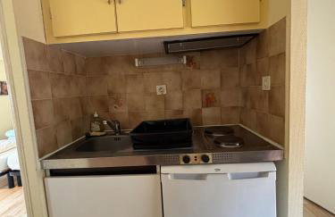 StudiosMichel apt 16 balcon thermes 400m à pied - Foto 11