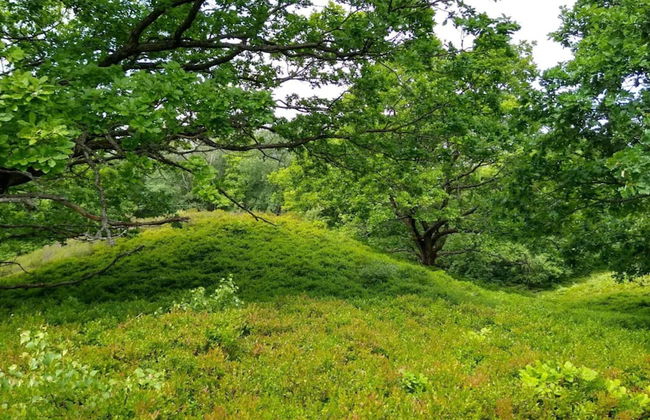 6 Person Holiday Home in Silkeborg - Foto 20