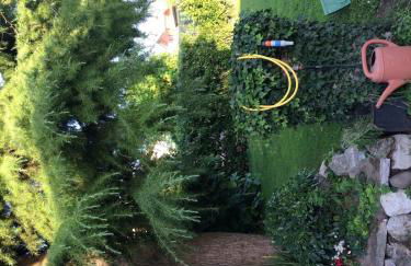 La Casina del Delta del Po - Foto 33