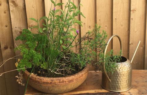 Lily s Pad - Private retreat in Lymington, New Forest - Foto 44