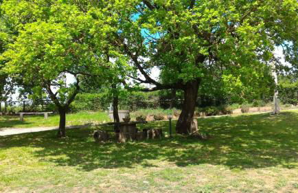 Agriturismo San Filippo - Foto 42