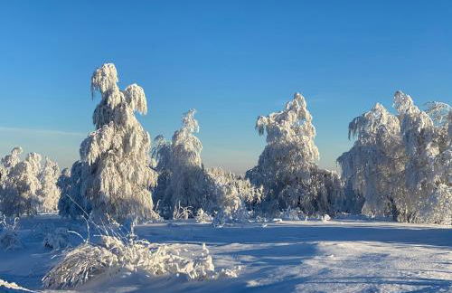 Schwarzwald Wohnung Kniebis - Foto 24