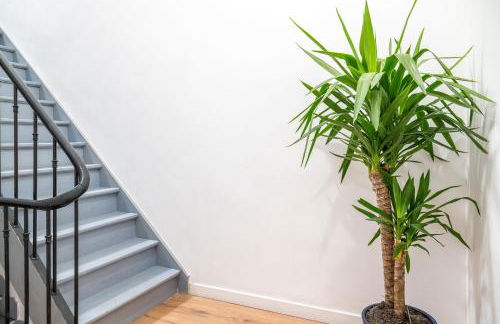 SV2A-Location - Foto 44