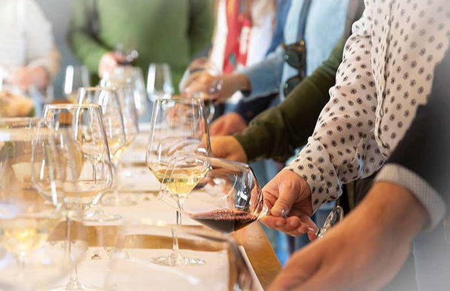 Visite à la cave Finca Antigua - Photo 5