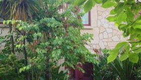 Casa Dos Tinocos - Foto 4