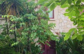 Casa Dos Tinocos - Foto 4