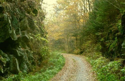 Seidl's Ilztalfewo - Foto 9