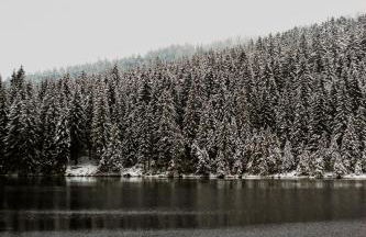 Sixt Martina - Foto 19