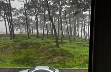 Areal da Ria - Foto 20