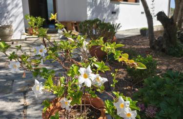 Sea view Goldins house - Foto 23