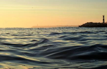 Wherry Green Guest House (PRAIA DA BARRA)❤️ - Foto 12